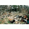 Contaminant Area 00234 Photo Small Wildlife title=