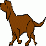 Dog 04 Drawn With Strai 01 Animal