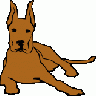 Dog 05 Drawn With Strai 01 Animal