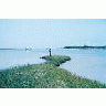 Eroding Shoreline At Aransas National Wildlife Refuge 00317 Photo Small Wildlife