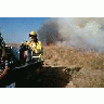 FWS Fire Crew On Prescribed Burn 00344 Photo Small Wildlife title=