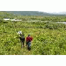 Hiking On Kodiak Island Near Frazer Fish Pass 00349 Photo Small Wildlife title=