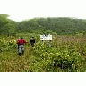 Hiking To Frazer Fish Pass 00350 Photo Small Wildlife title=