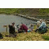 People Observing Bears At Frazer Fish Pass 00351 Photo Small Wildlife title=