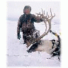 Bow Hunting Caribou 00421 Photo Small Wildlife