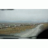Driving The Dalton Highway 00475 Photo Small Wildlife title=
