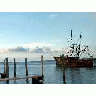 WOE183 Fishing Boat 00498 Photo Small Wildlife title=