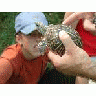 Cub Scout With Turtle 00508 Photo Small Wildlife title=