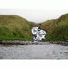 Adak Bay Of Waterfalls June 2002 Album 00513 Photo Small Wildlife