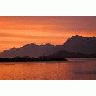 Adak Kuluk Bay Aleutian Islands 00517 Photo Small Wildlife title=