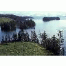 Afognak Coastline Kazakof Bay 1986 00518 Photo Small Wildlife