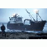 Arctic Dawn Grounded On St Paul Island March 1996 00560 Photo Small Wildlife title=