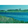 WO4599 Wetlands Upper Midwest 00598 Photo Small Wildlife title=