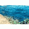 Oil In Waves San Juan 00633 Photo Small Wildlife title=