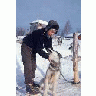 Local Resident With Sled Dog 00689 Photo Small Wildlife title=