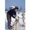 Local Resident With Sled Dog 00689 Photo Small Wildlife