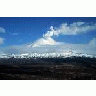 Shishaldin Volcano Unimak Island 00718 Photo Small Wildlife title=