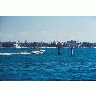 Boat Speeding Thru Manatee Idle Zone 00805 Photo Small Wildlife title=