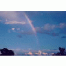 Rainbow At El Morro National Monument 00824 Photo Small Wildlife