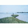 Eroding Shoreline At Aransas National Wildlife Refuge 00857 Photo Small Wildlife