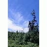 Mollie Beatty Bog At Silvio O Conte NWR 00892 Photo Small Wildlife title=