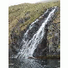 Adak Bay Of Waterfalls June 2002 Album 00915 Photo Small Wildlife
