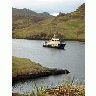 Adak Hidden Bay June 4 11 2002Album 00920 Photo Small Wildlife title=