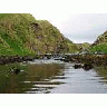 Adak Hidden Bay June 4 11 2002Album 00921 Photo Small Wildlife title=