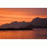 Adak Kuluk Bay Aleutian Islands 00925 Photo Small Wildlife title=