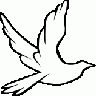 Dove Symbol Animal title=