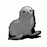 SEAL Animal title=