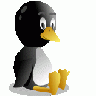 Bb Pingu  Computer title=