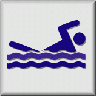 Hotel Icon Swimming Poo 01 Computer title=