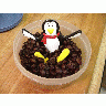 Photo Big Penguin And Coffee Food