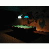 Photo Big Pool Interior