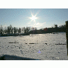 Photo Big Sunshine On Cattle Field Landscape