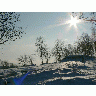 Photo Big Sunshine On Snowy Tree Hill Landscape title=