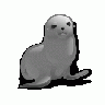 SEAL Computer title=