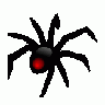 SPIDER Computer