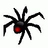 SPIDER Computer title=