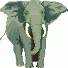 Elefante01 Architetto Fr 01 Big Animal title=