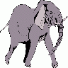 Elefante In Corsa Big Other title=