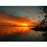 Sunset 00076 Photo Big Wildlife title=
