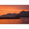 Adak Kuluk Bay Aleutian Islands 00925 Photo Big Wildlife title=