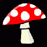 MUSHROOM Plants