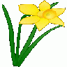 Daffodil Jonathan Dietri 01 Plants