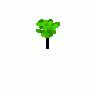 Cartoon Tree 01 Plants