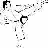 Karate Kick Frouke 01 Recreation