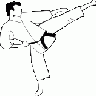 Karate Kick Frouke 01 Recreation title=