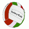 Volley Ball Angelo Gelmi 01 Recreation